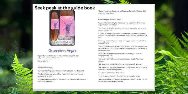 Seek peak at the guide book (1)-525